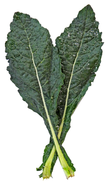 Tarte au chou kale