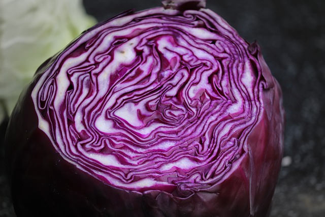 Salade de chou rouge aux fruits d'hiver