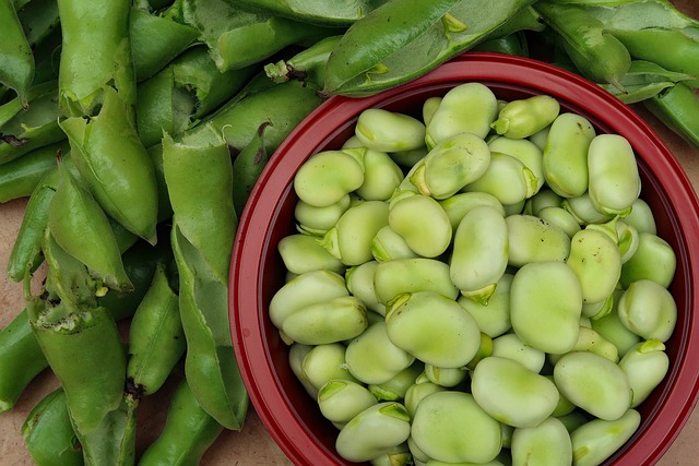 Purée de fèves