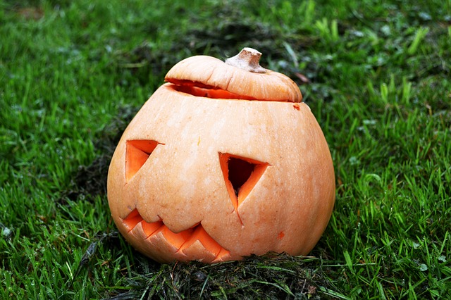 Drôles de fantômes pour Halloween !