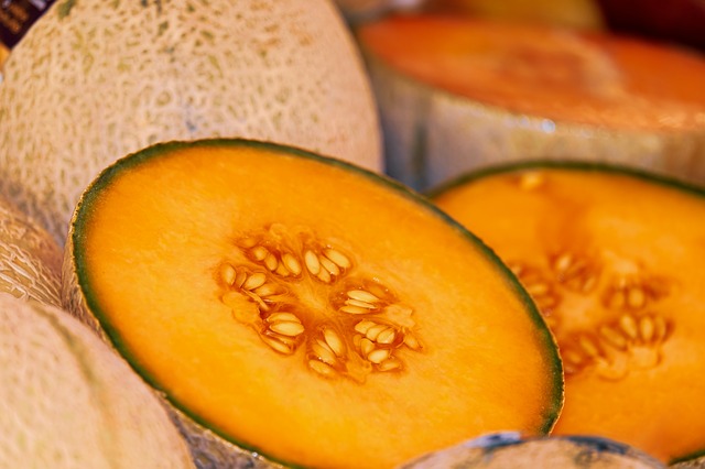 Granité de melon
