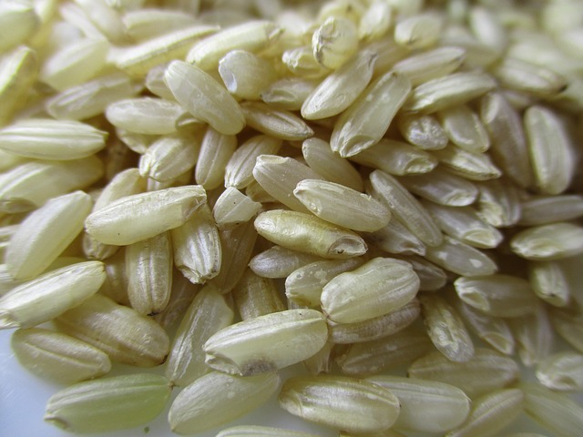 Risotto au saumon