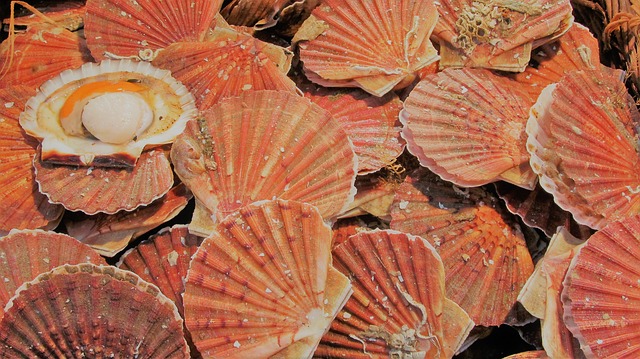 carpaccio de Saint-Jacques à l'ananas